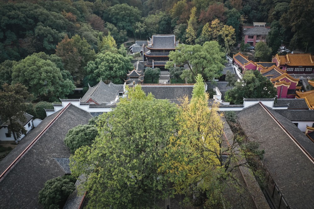 DJI_0316.jpg