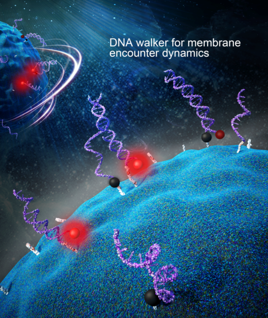 2017年3月，谭蔚泓教授课题组在Nature Nanotechnology发表研究成果.png