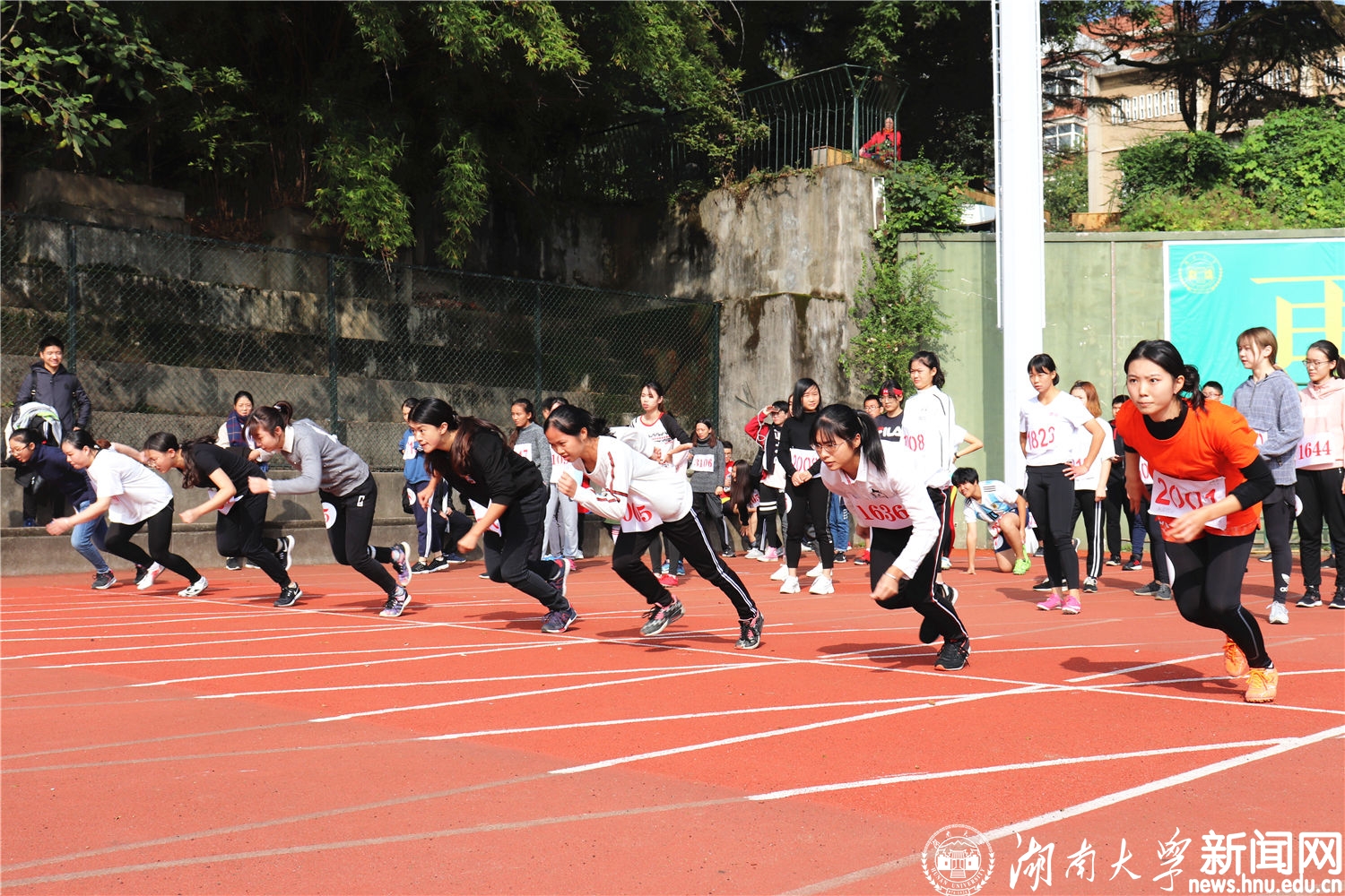田径场-女子学生甲组100预赛(2).JPG